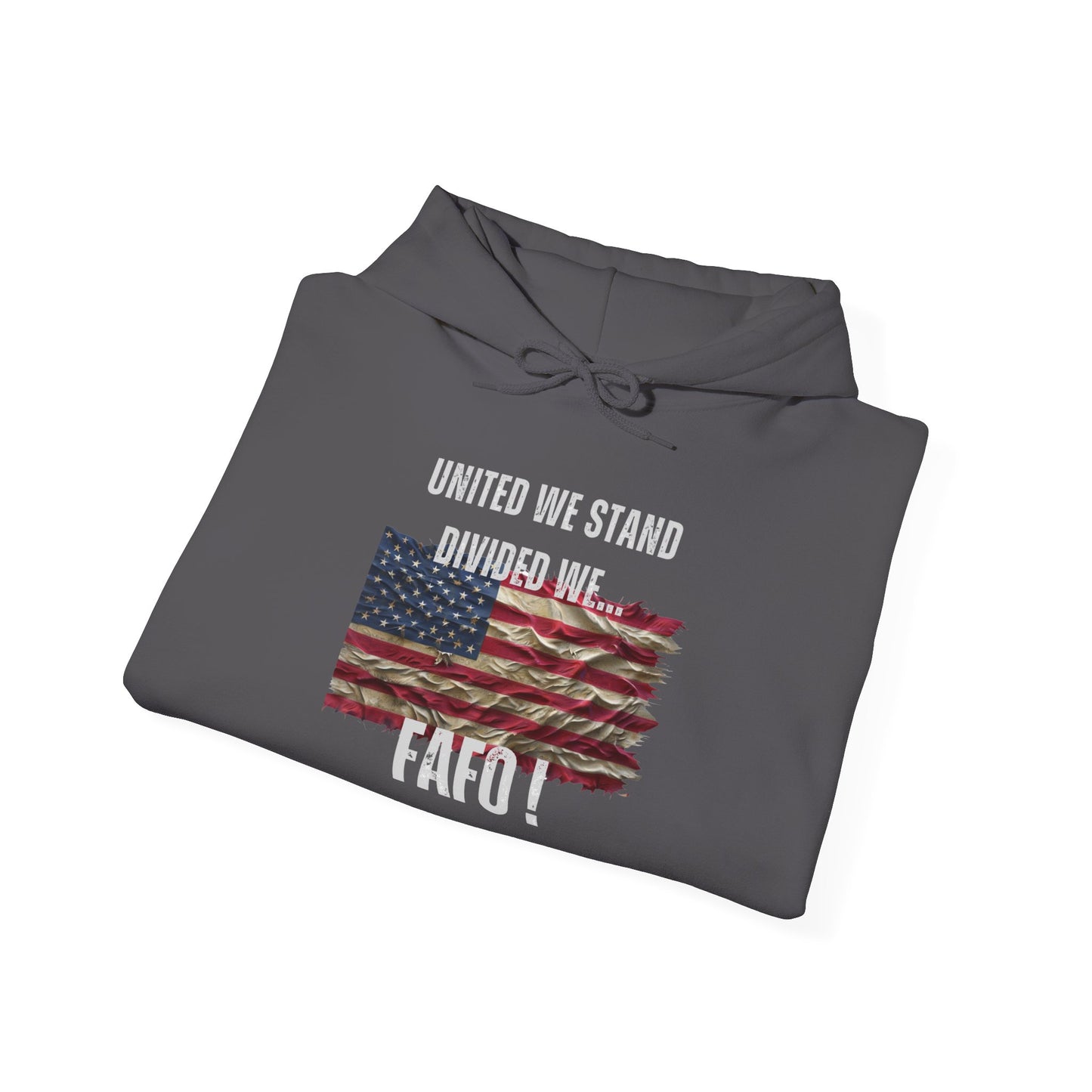 United We Stand or FAFO - Hoodie